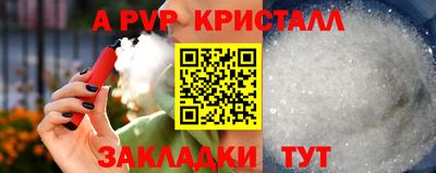 сатива Славгород