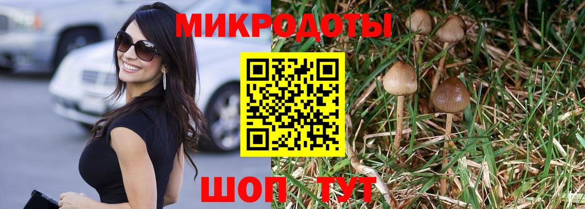Новочеркасск  Псилоцибиновые грибы MAGIC MUSHROOMS  Вход с VPN  Галлюциногенные грибы Psilocybe 