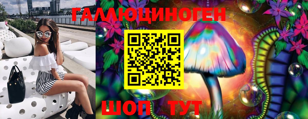 Галлюциногенные грибы Psilocybe Новочеркасск